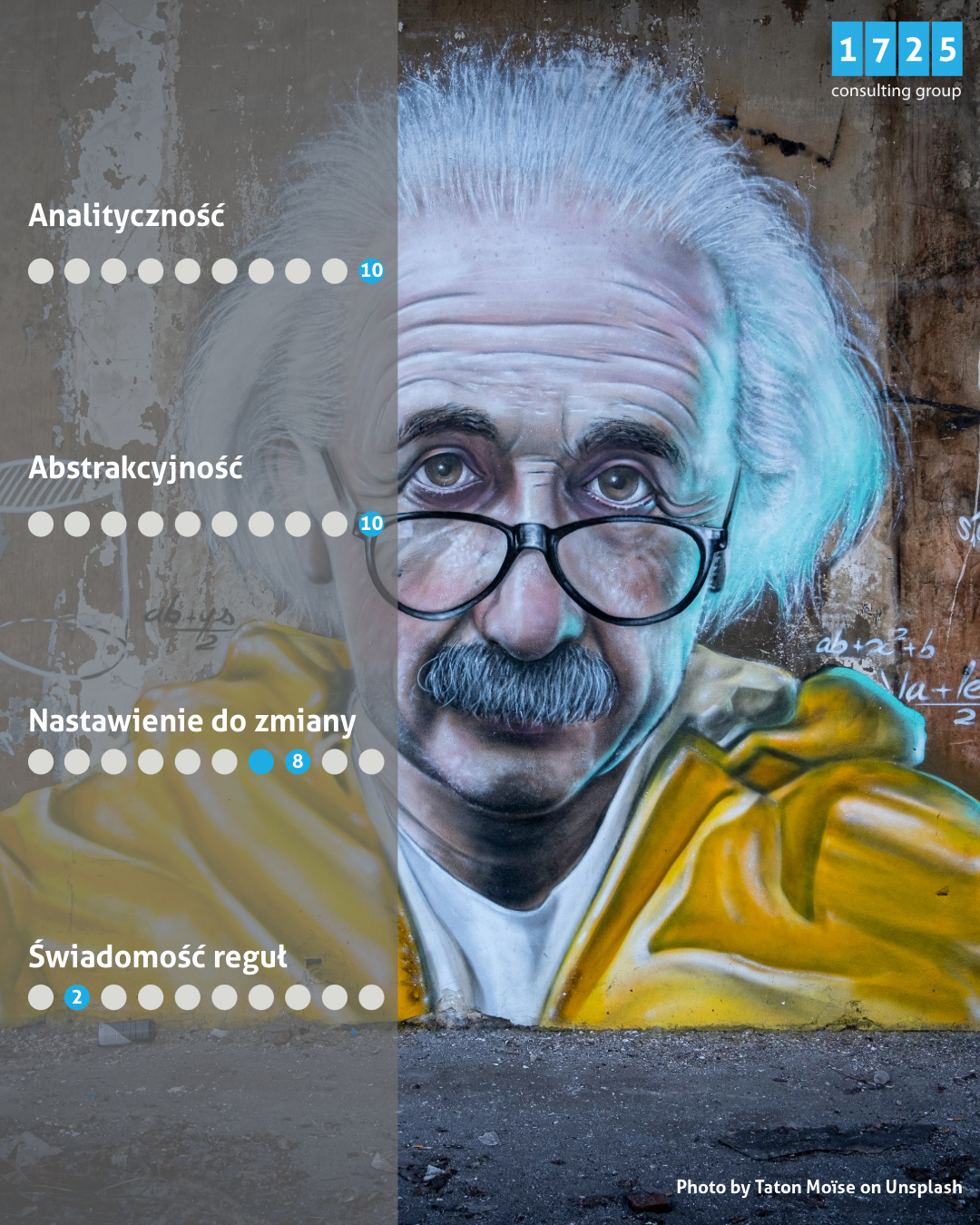 Talenty Alberta Einsteina - pion