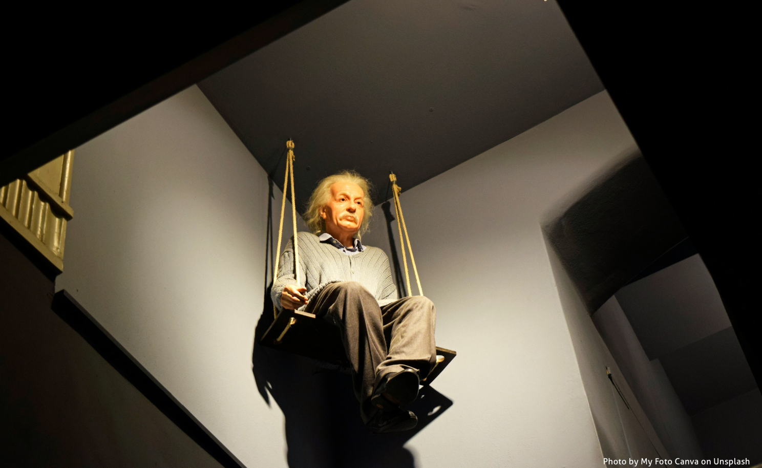 Einstein na hustawce