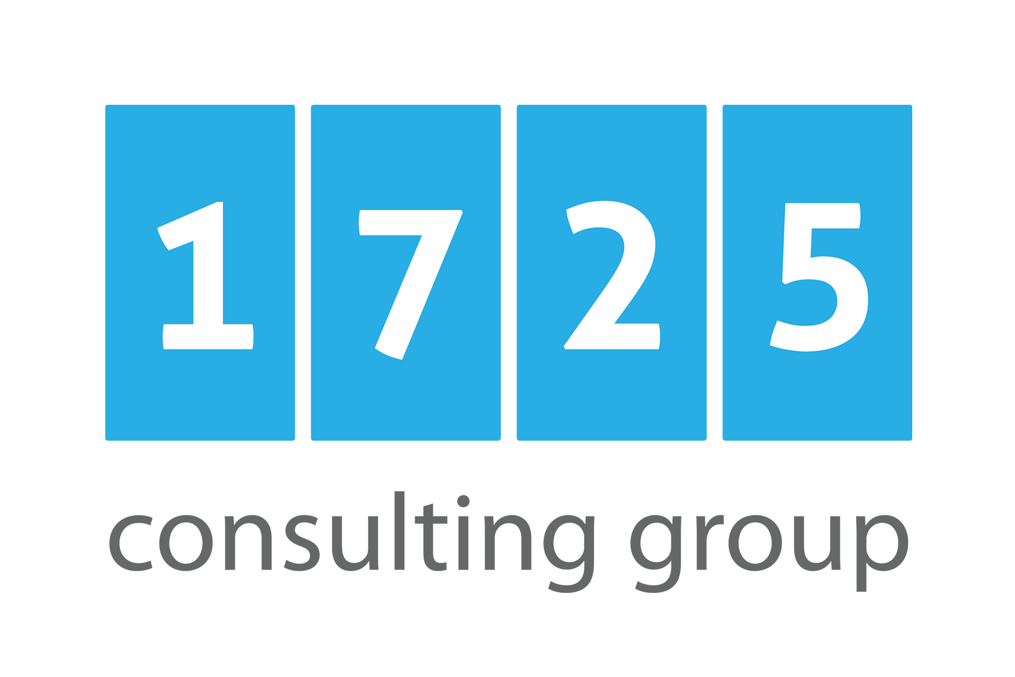 1725 Consulting Group